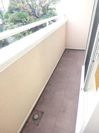 ミッテルドルフ新江古田の物件内観写真